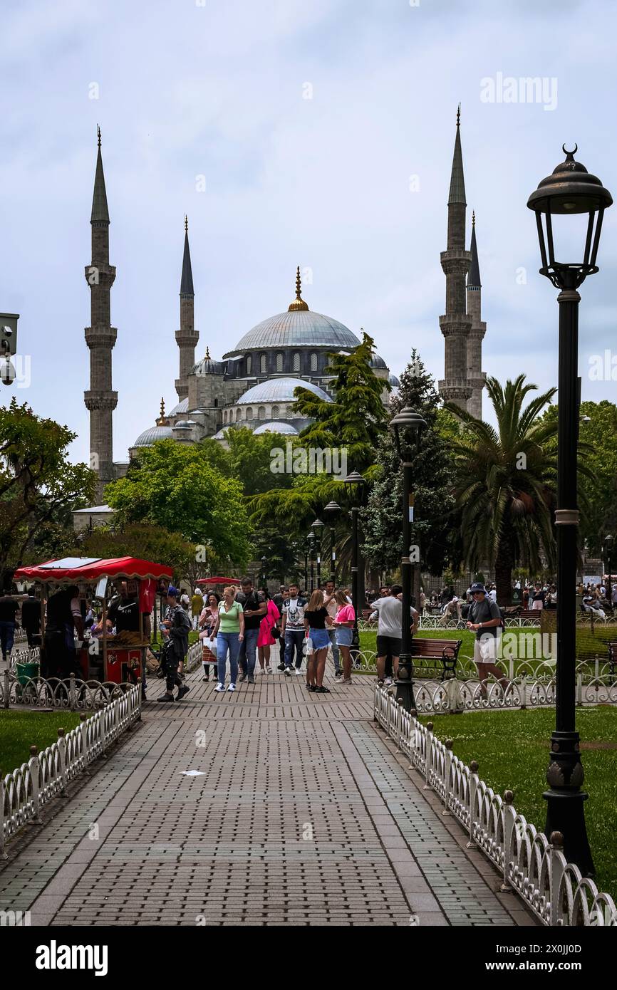La splendida Moschea Blu di Istanbul fotografata attraverso i suoi magnifici giardini Foto Stock