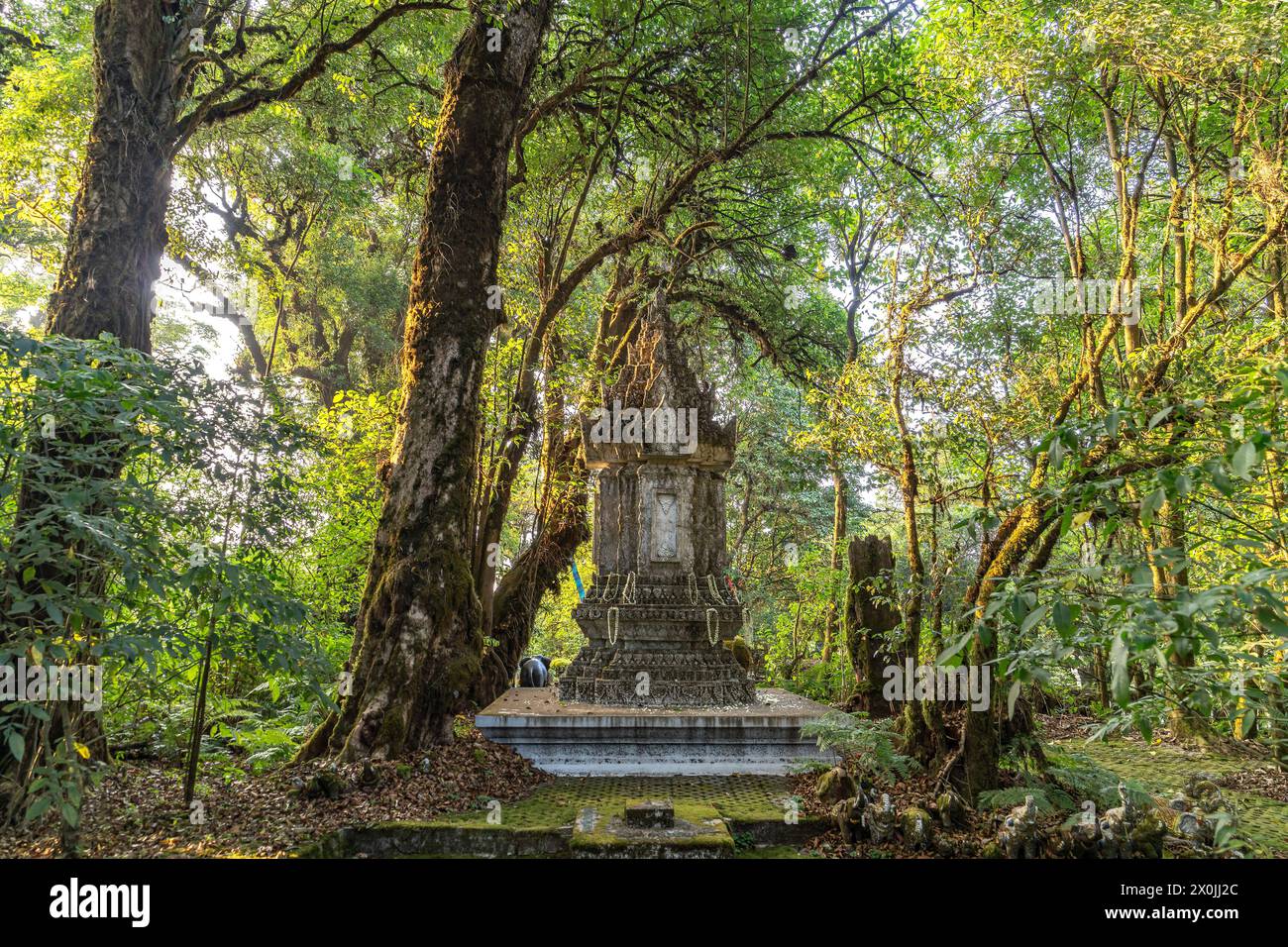 Percorso naturalistico di Yod Doi con il santuario commemorativo di King Inthanon, il parco nazionale di Doi Inthanon, Chiang mai, Thailandia, Asia Foto Stock