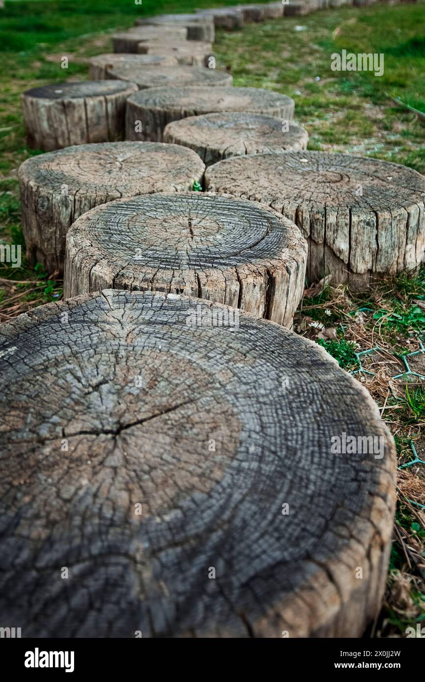 una serie di tronchi ancorati al terreno formano un percorso in un parco urbano Foto Stock