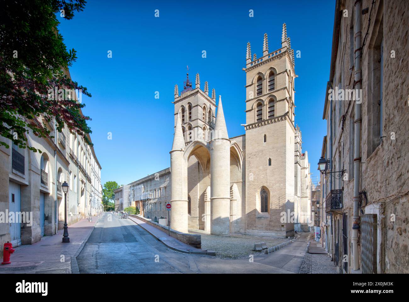 Cattedrale Saint-Pierre, cattedrale, centro storico, facciate, tour della città, vista sulla casa, città vecchia, Montpellier, Herault, Francia, Foto Stock