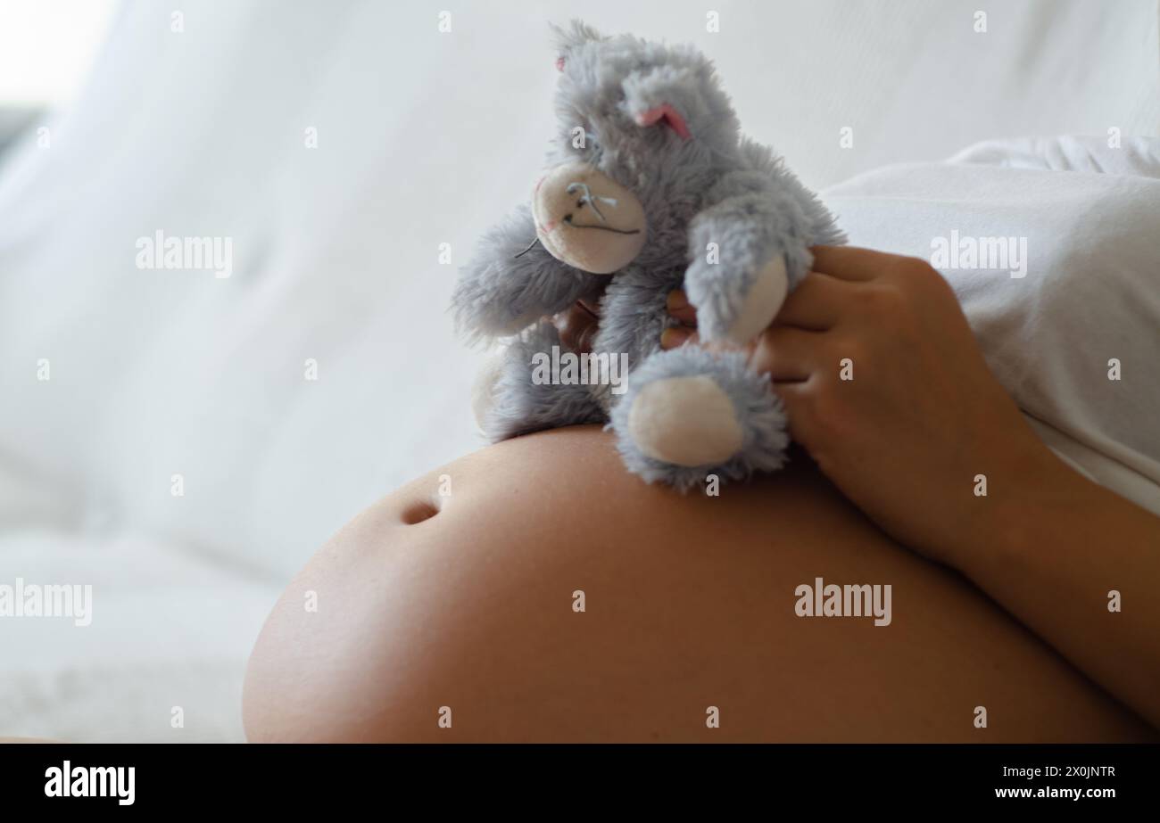 Donna incinta che tiene un animale farcito nella pancia Foto Stock