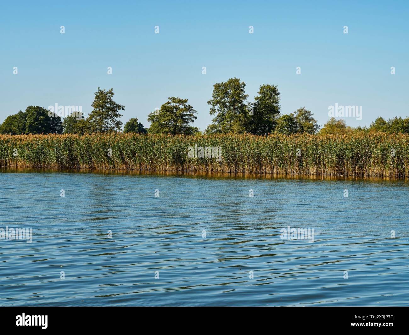 Gita in barca sulla Laguna Curoniana fino al Delta del Memel Foto Stock