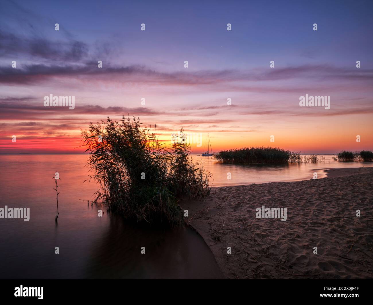 Cammina all'alba lungo la grande Duna a Nida sulla punta Curoniana, Lituania Foto Stock