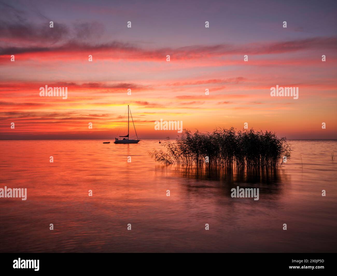 Cammina all'alba lungo la grande Duna a Nida sulla punta Curoniana, Lituania Foto Stock
