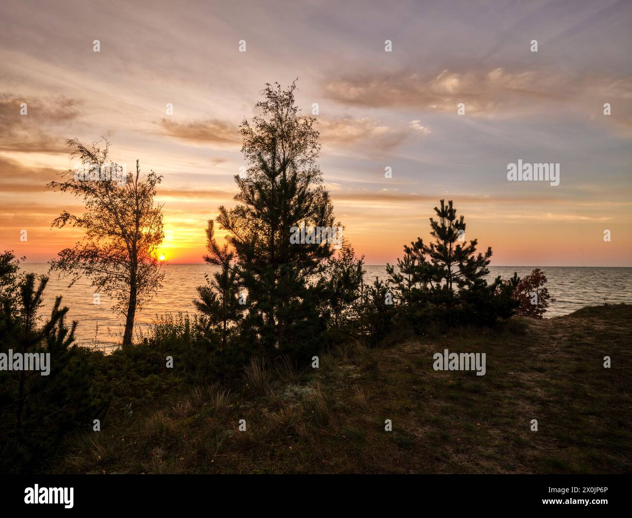 Cammina all'alba lungo la grande Duna a Nida sulla punta Curoniana, Lituania Foto Stock