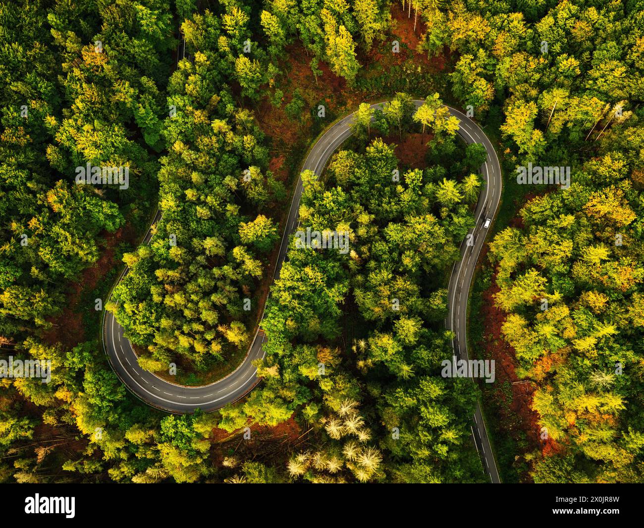 Giro in mongolfiera sul Parco Nazionale della Svizzera sassone dopo l'alba Foto Stock
