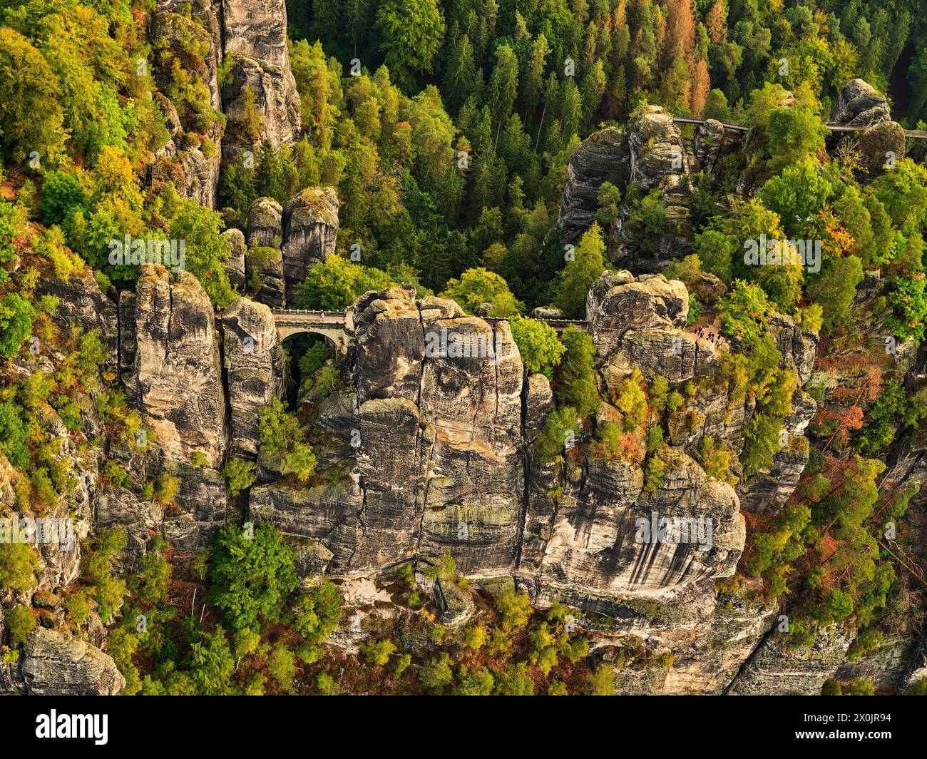Giro in mongolfiera sul Parco Nazionale della Svizzera sassone dopo l'alba Foto Stock