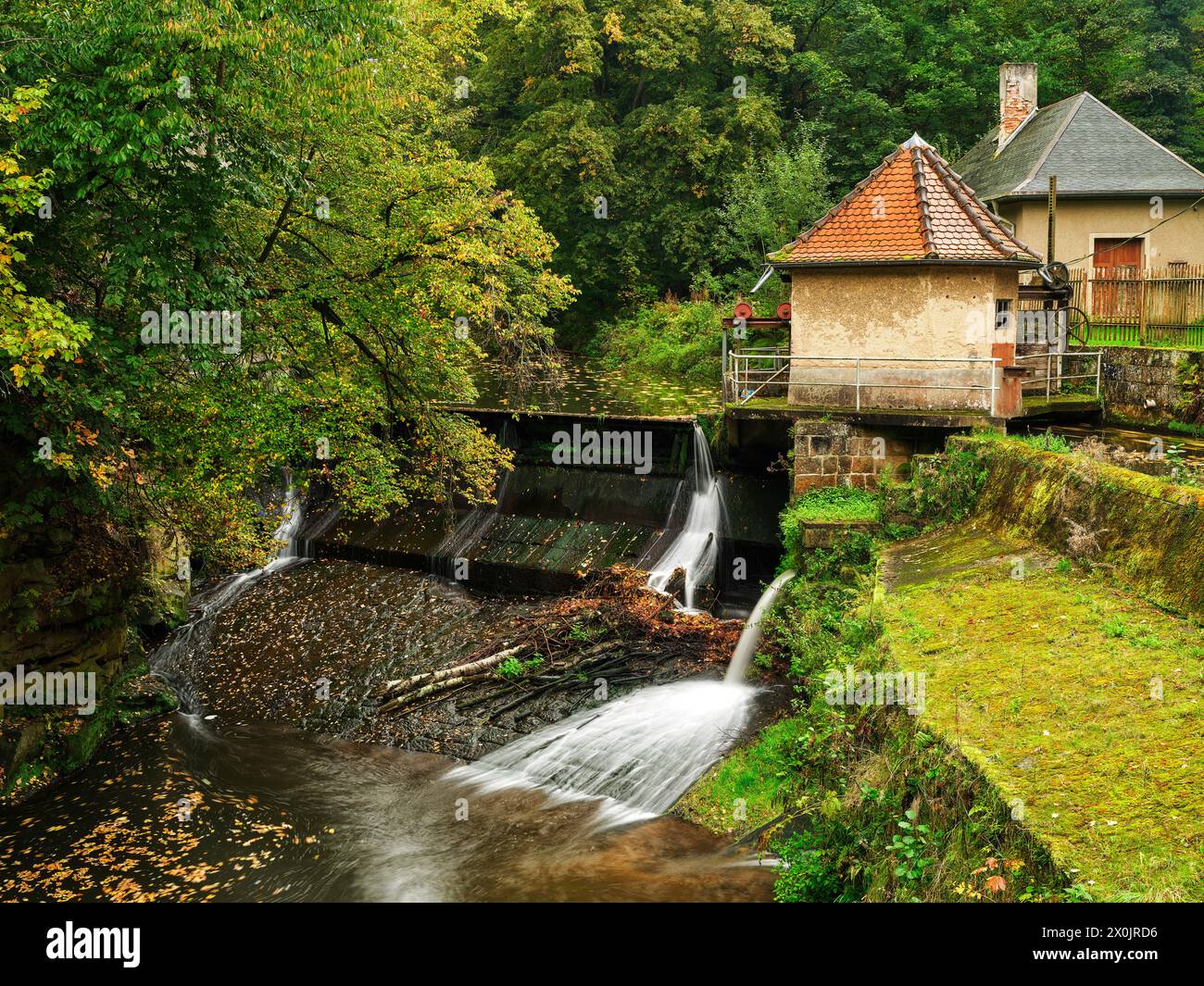 Autunno sul Malerweg a Liebethaler Grund al Daubenmühle a Lohme Foto Stock