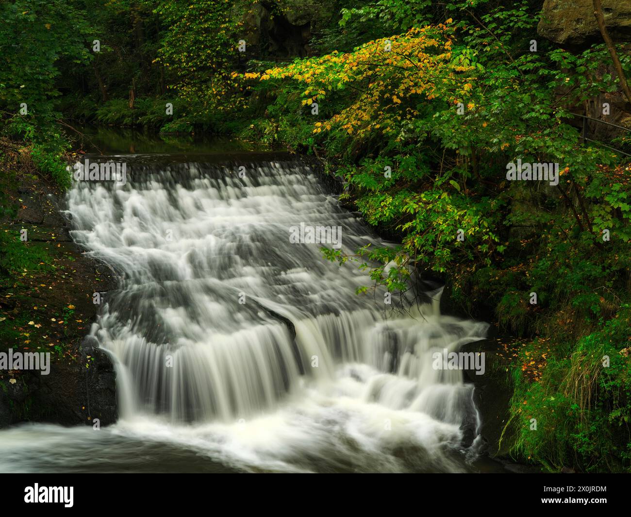 Autunno sul sentiero Malerweg a Liebethaler Grund vicino a Lohme Foto Stock