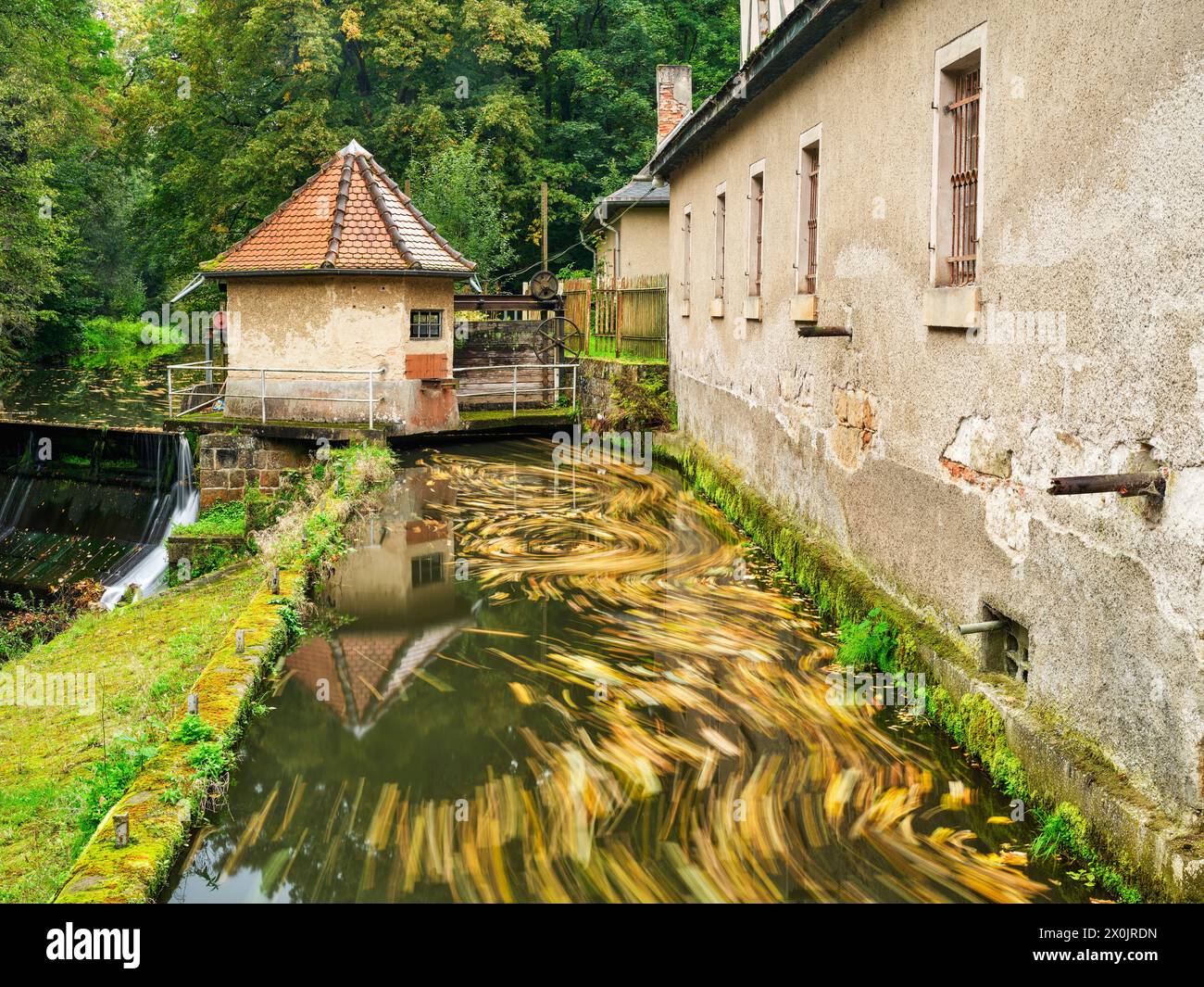 Autunno sul Malerweg a Liebethaler Grund al Daubenmühle a Lohme Foto Stock