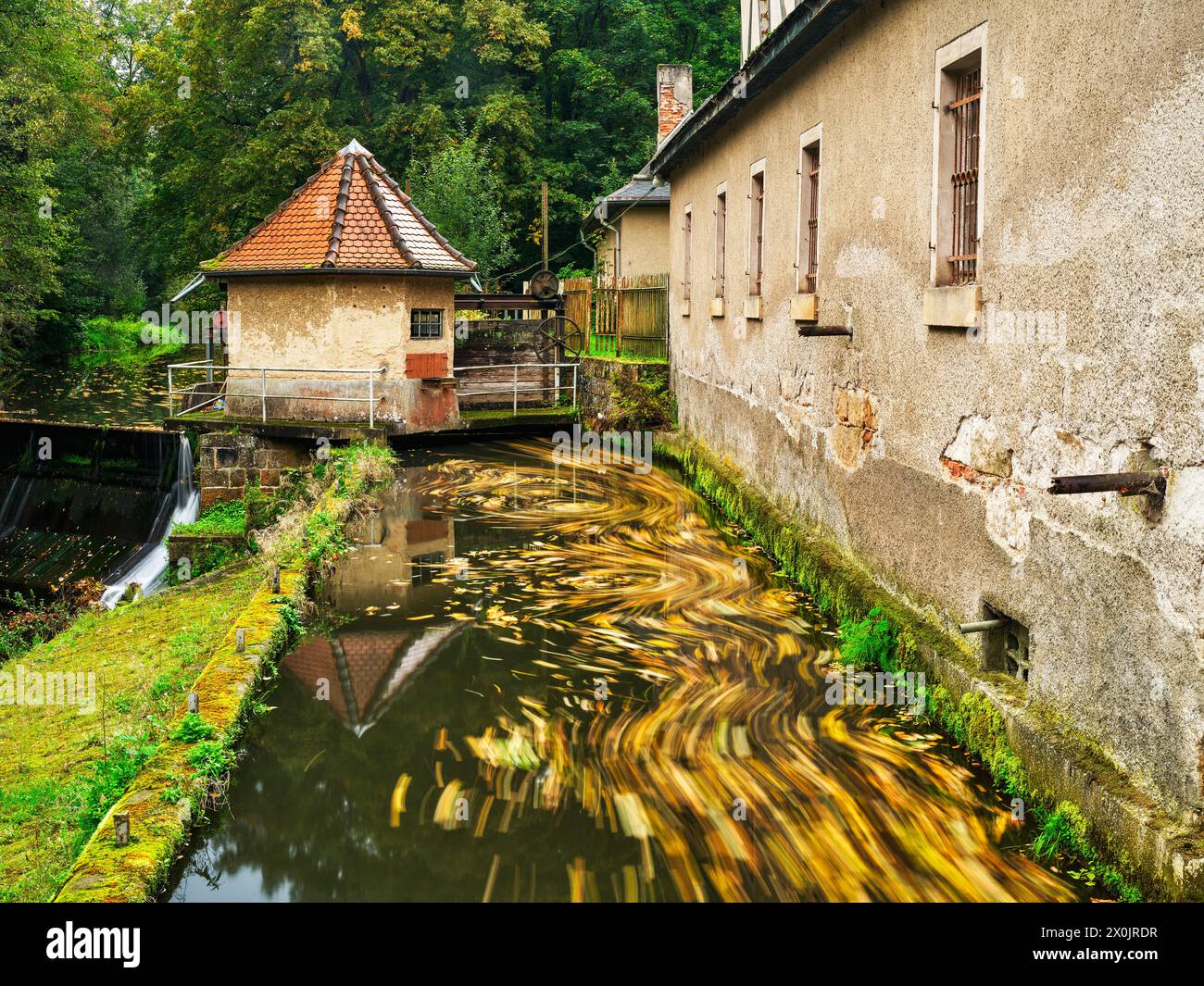 Autunno sul Malerweg a Liebethaler Grund al Daubenmühle a Lohme Foto Stock