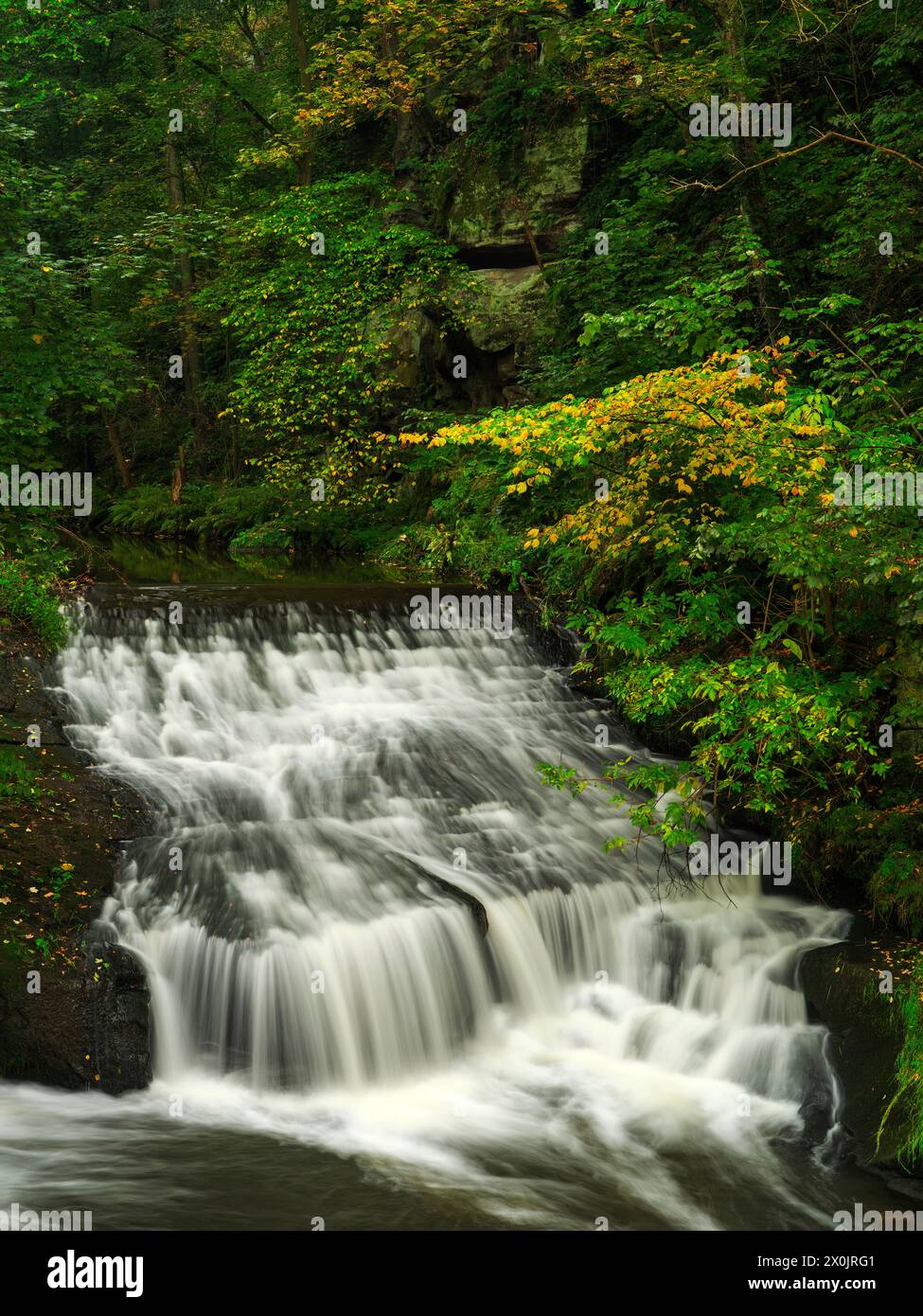 Autunno sul sentiero Malerweg a Liebethaler Grund vicino a Lohme Foto Stock