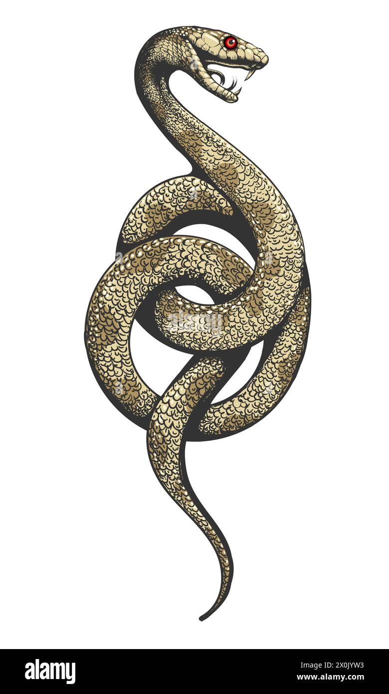 Illustrazione vettoriale con incisione colorata Snake isolata su sfondo bianco. Non è stata utilizzata alcuna IA. Illustrazione Vettoriale