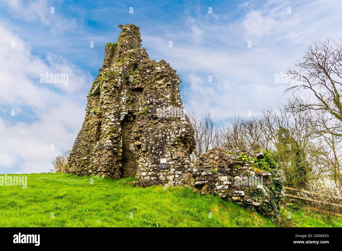 Una vista di una torre in rovina nelle rovine del castello di Narberth, Pemborkeshire, Galles, a Springtime Foto Stock