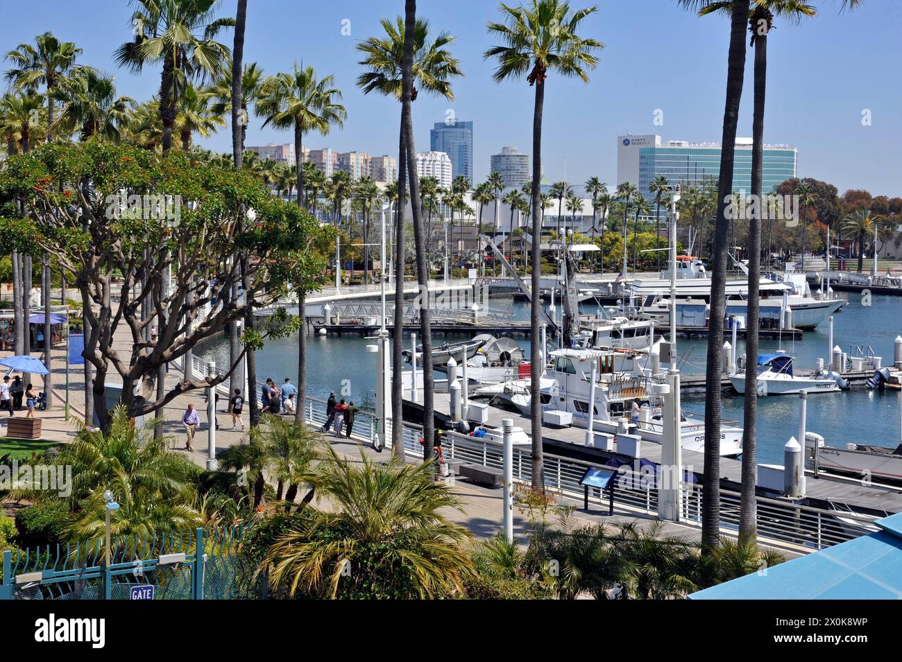 Vista del porto dall'Aquarium of the Pacific, Long Beach, California, USA Foto Stock