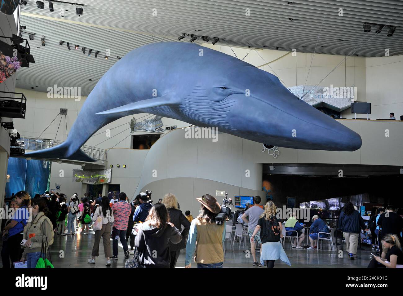 L'Aquarium del Pacifico, Long Beach, California, Stati Uniti d'America Foto Stock