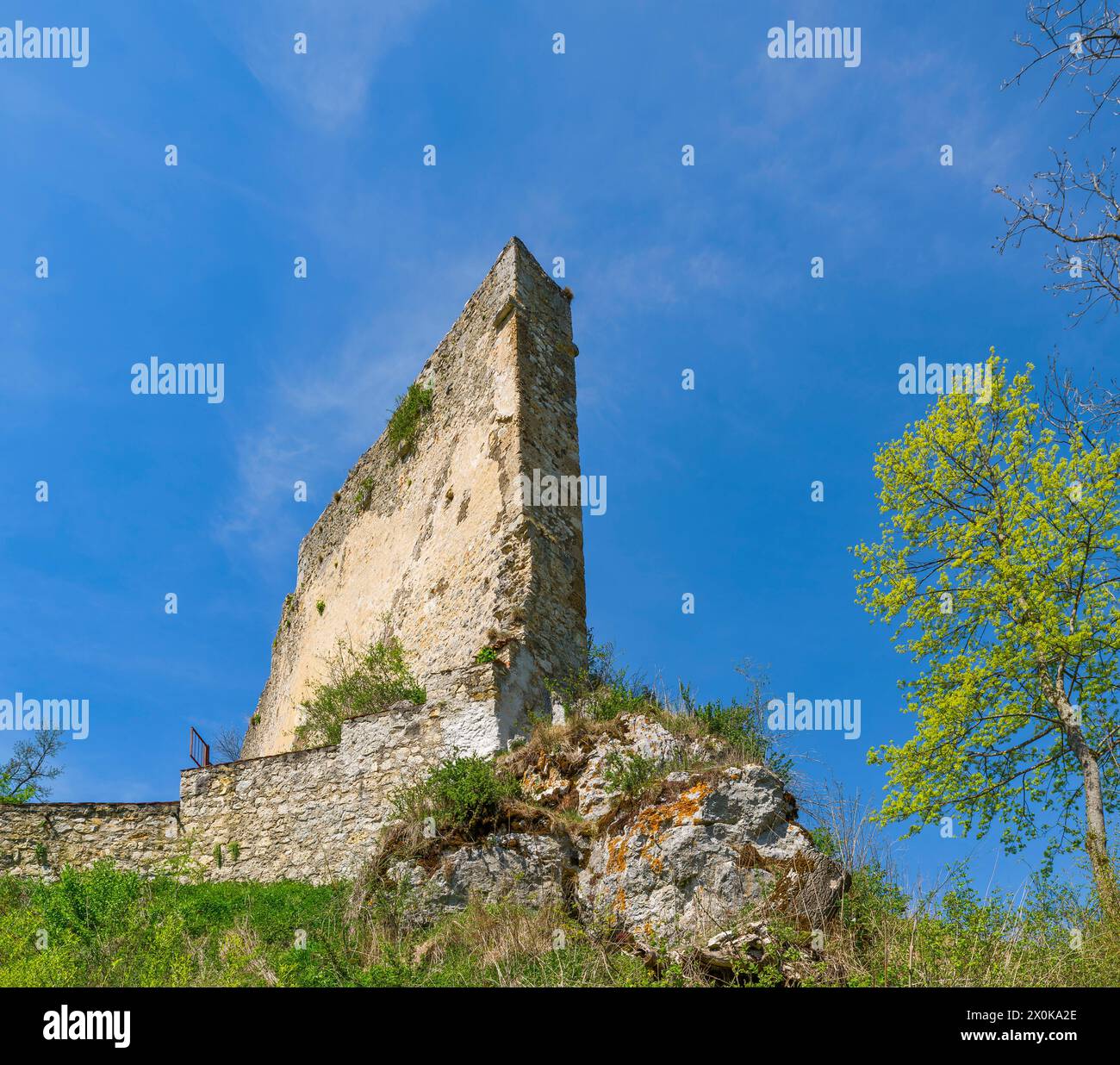 Germania, Baden-Württemberg, Hettingen, castello di Hettingen, muro di scudo Foto Stock