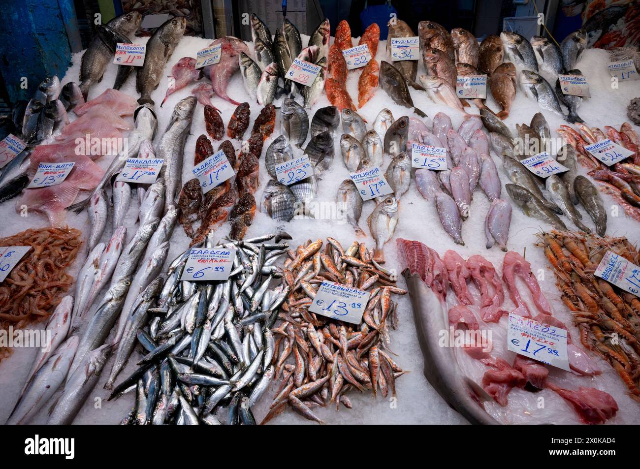 Esposizione di pesce fresco e frutti di mare su ghiaccio, pescivendolo, cibo, mercato Kapani, Vlali, Salonicco, Macedonia, Grecia Foto Stock