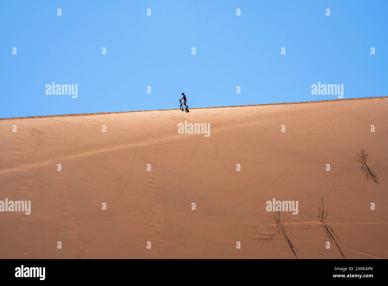 Escursione madre e bambino sulla duna Big Daddy a Deadvlei nel Namib-Naukluft National Park, Namibia Foto Stock