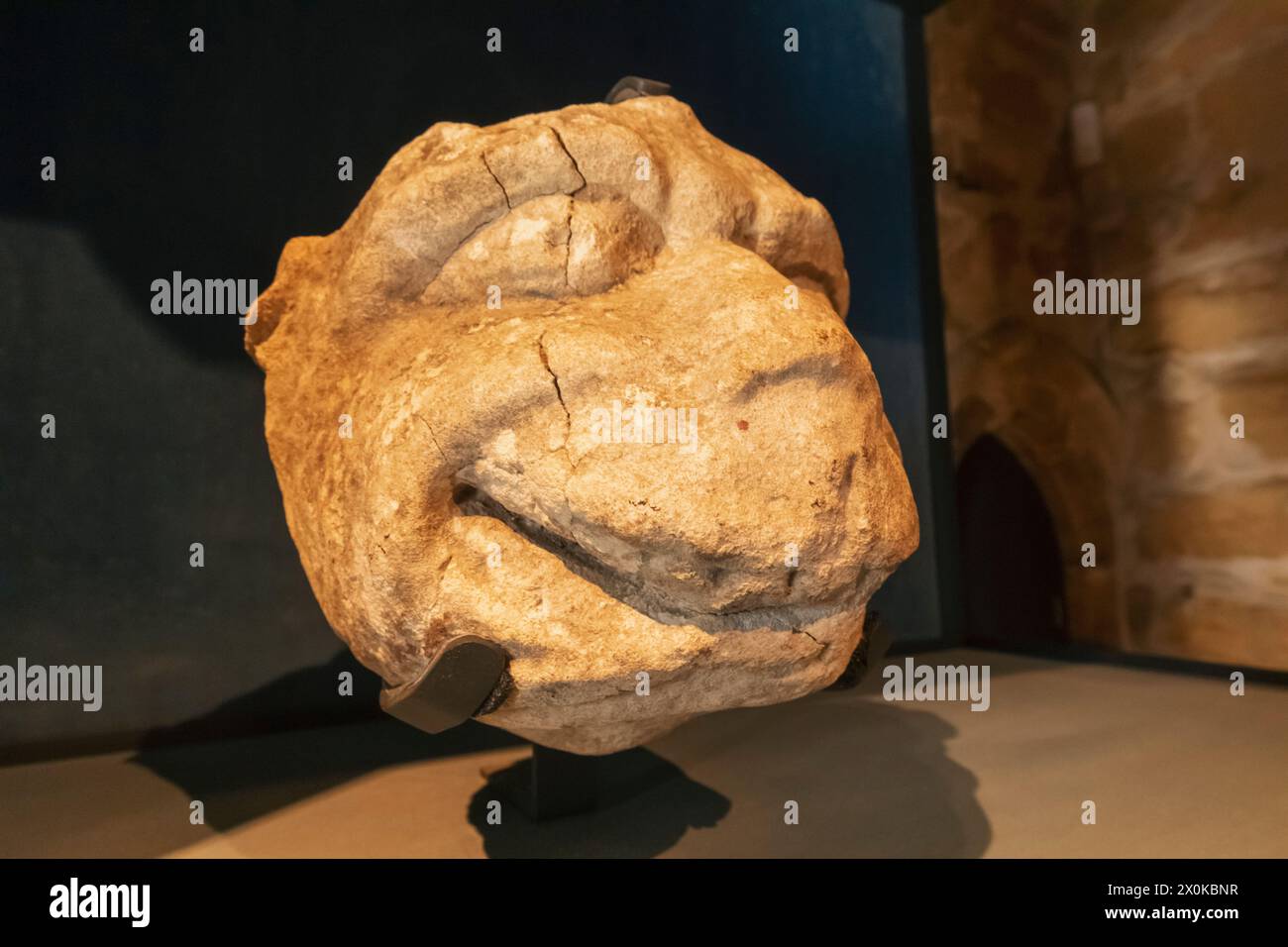 Inghilterra, East Sussex, Battle, Battle Abbey, The Great Gatehouse, grande sala dell'Abate, esposizione di sculture ornamentali in pietra raffiguranti una faccia grottesca del XIII-XIV secolo Foto Stock