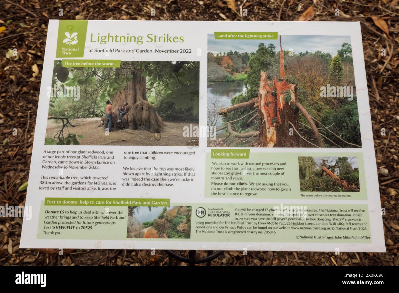 Inghilterra, East Sussex, Sheffield Park and Gardens, cartello informativo Giant Redwood Tree Lightening Strike Foto Stock