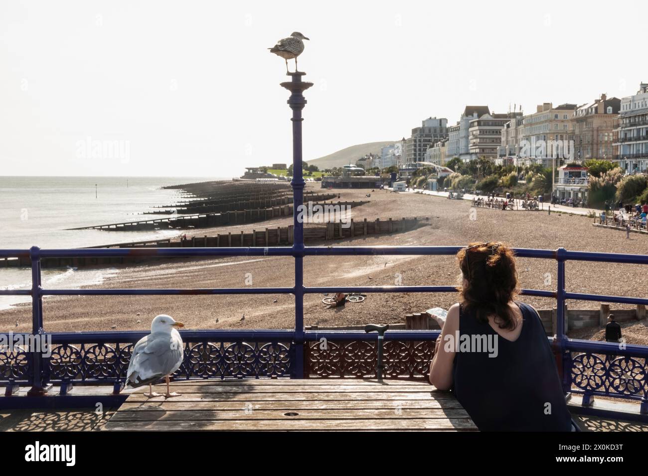 Inghilterra, East Sussex, Eastbourne, Eastbourne Pier, Spiaggia e Vista Mare dal Molo Foto Stock