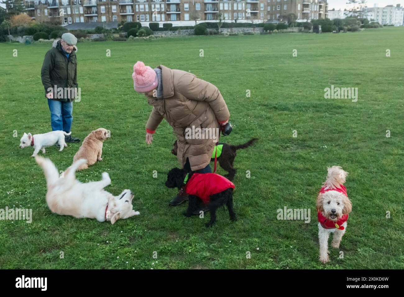 Inghilterra, West Sussex, Littlehampton, anziani Dog Walkers Foto Stock