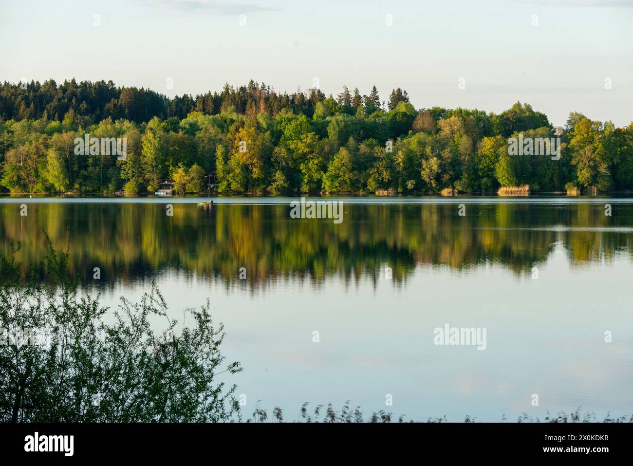 Primavera, lago Abstdorf, paesaggio Foto Stock