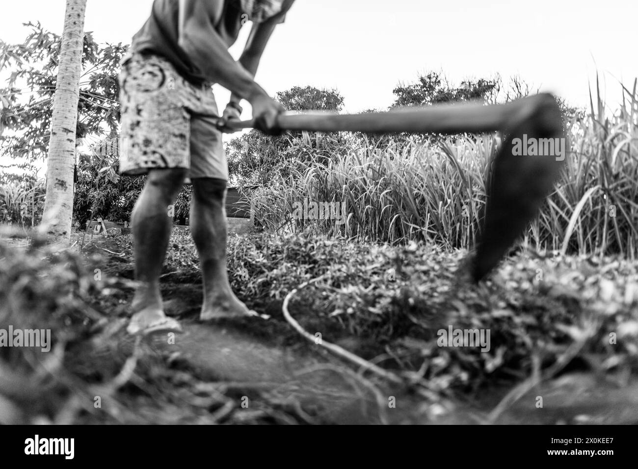 Soggiorno in famiglia di 6 mesi in Africa occidentale, Capo Verde, Isola di Santiago a Tarrafal Foto Stock