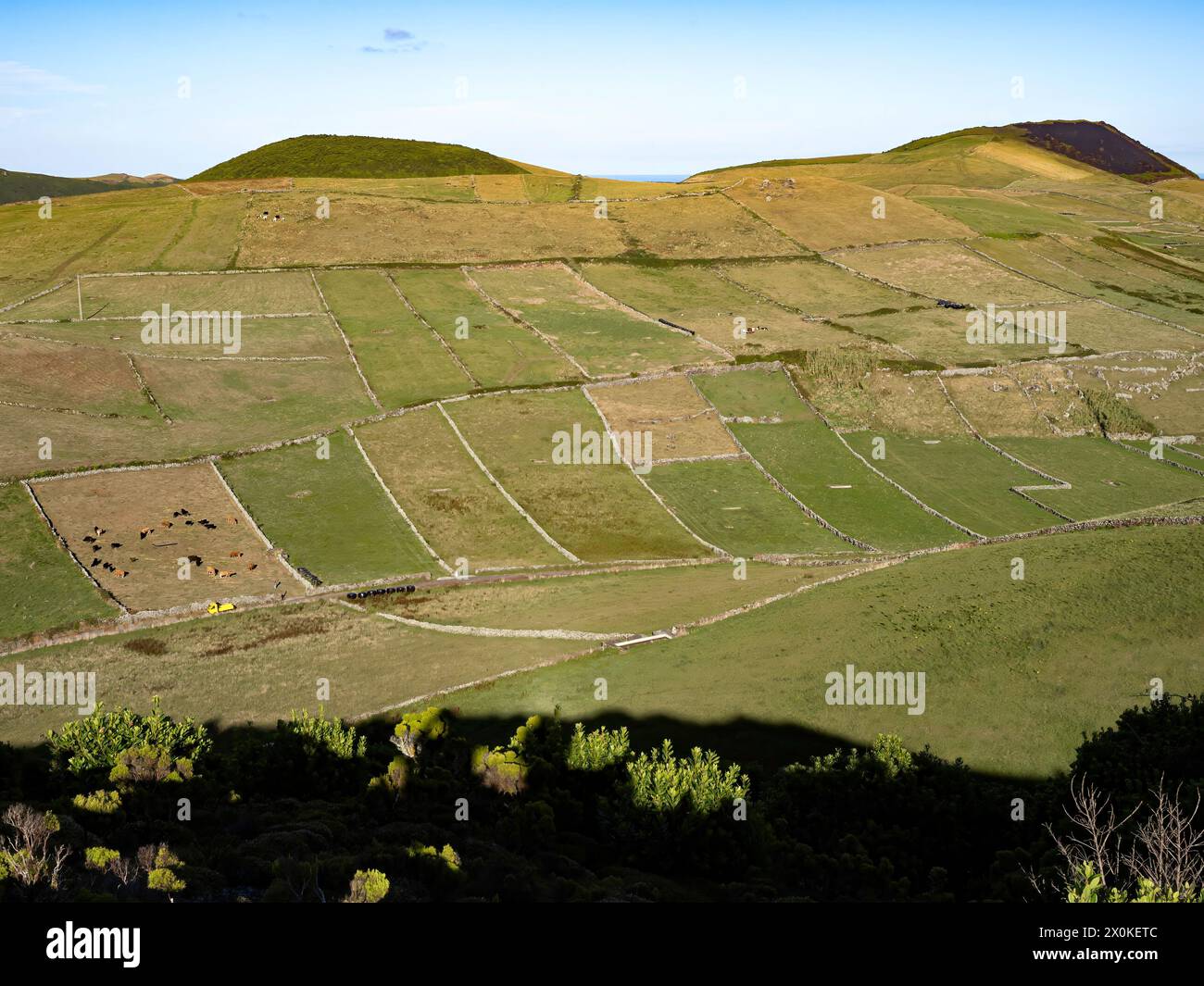 Azzorre, terreni agricoli, agricoltura, isola di Graciosa, paesaggio, Portogallo, vista da Caldeirinha de Pero Botelho, vista dal bordo del vulcano Foto Stock