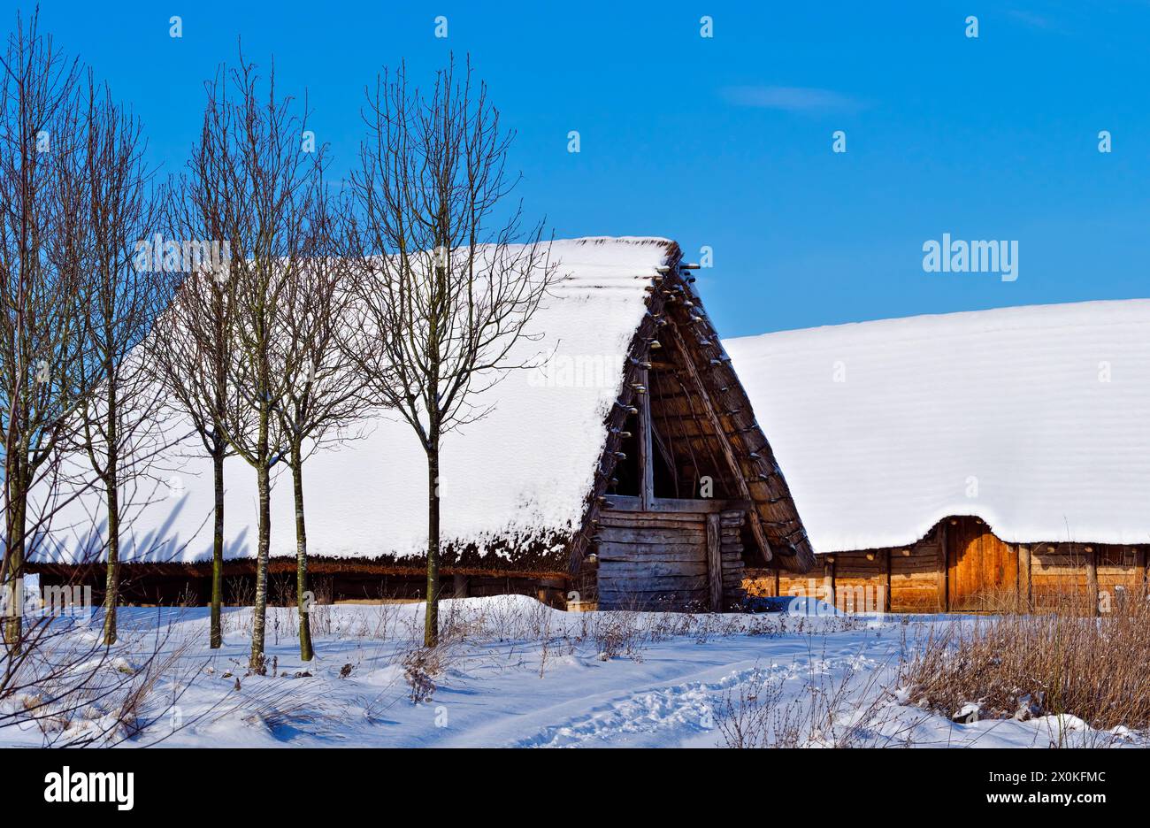 Europa, Germania, Assia, Assia centrale, Marburger Land, atmosfera invernale all'Isola del tempo, museo archeologico all'aperto di Marburger Land a Weimar Foto Stock