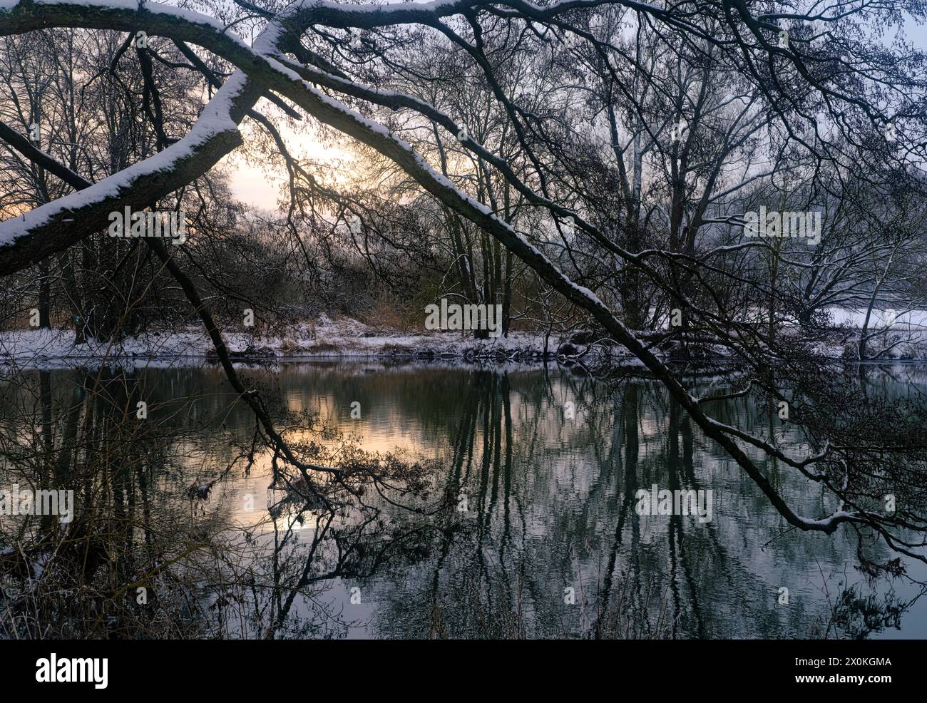 Europa, Germania, Assia, Assia centrale, Parco naturale Lahn-Dill-Bergland, Lahnau, atmosfera invernale nella riserva naturale di Lahnaue tra Heuchelheim e Waldgirmes, ontani neri sulle rive del Lahn Foto Stock