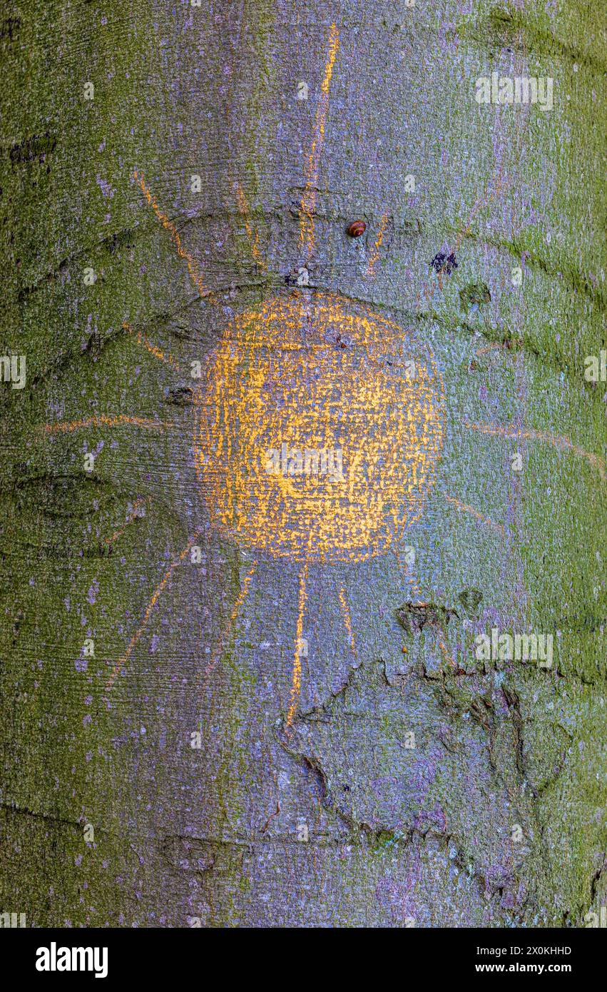 Sole dipinto su un tronco di albero Foto Stock