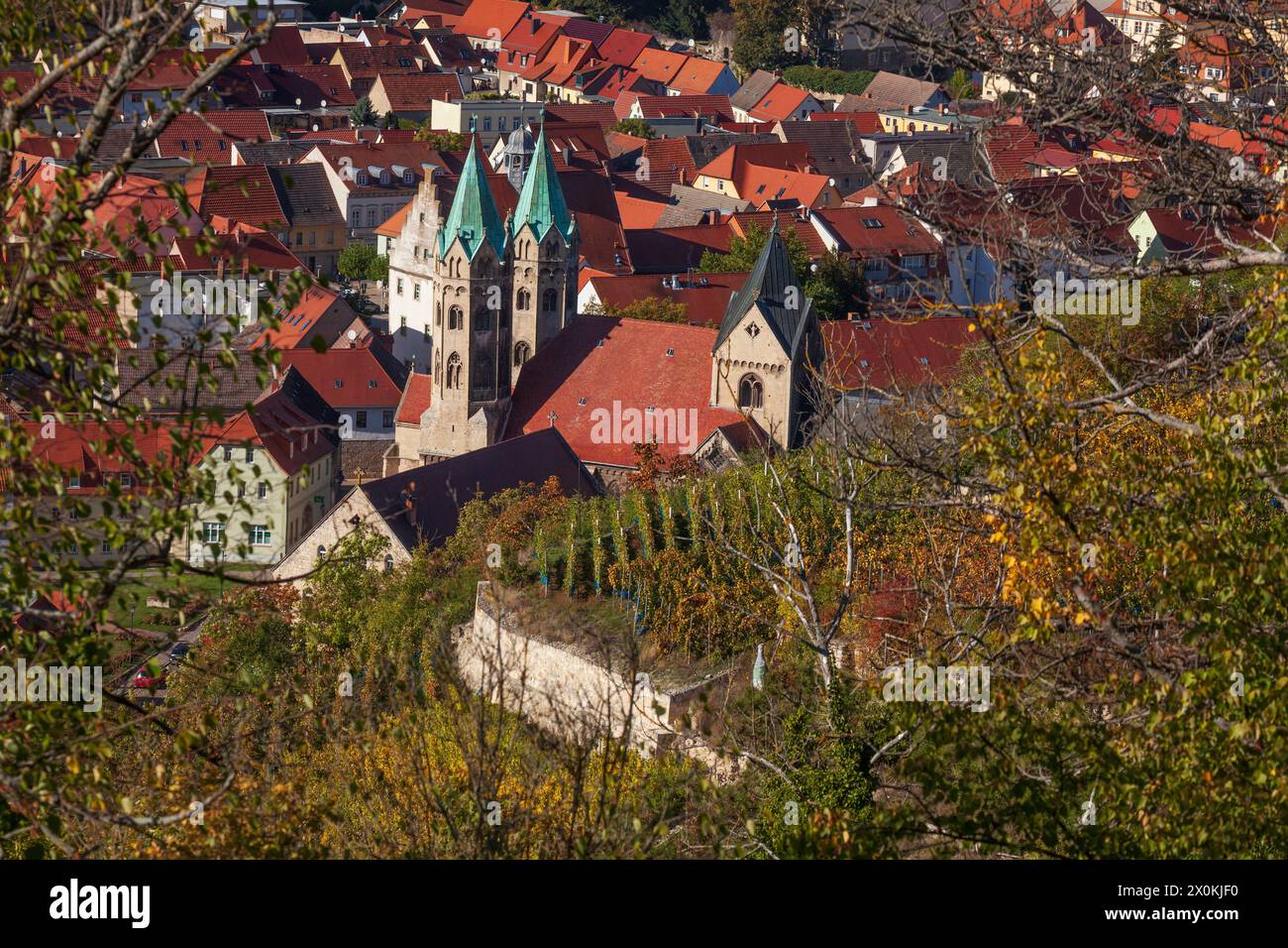 Panoramica della città con la chiesa di St Marien, Freyburg an der Unstrut, Burgenlandkreis, Sassonia-Anhalt, Germania, Europa Foto Stock