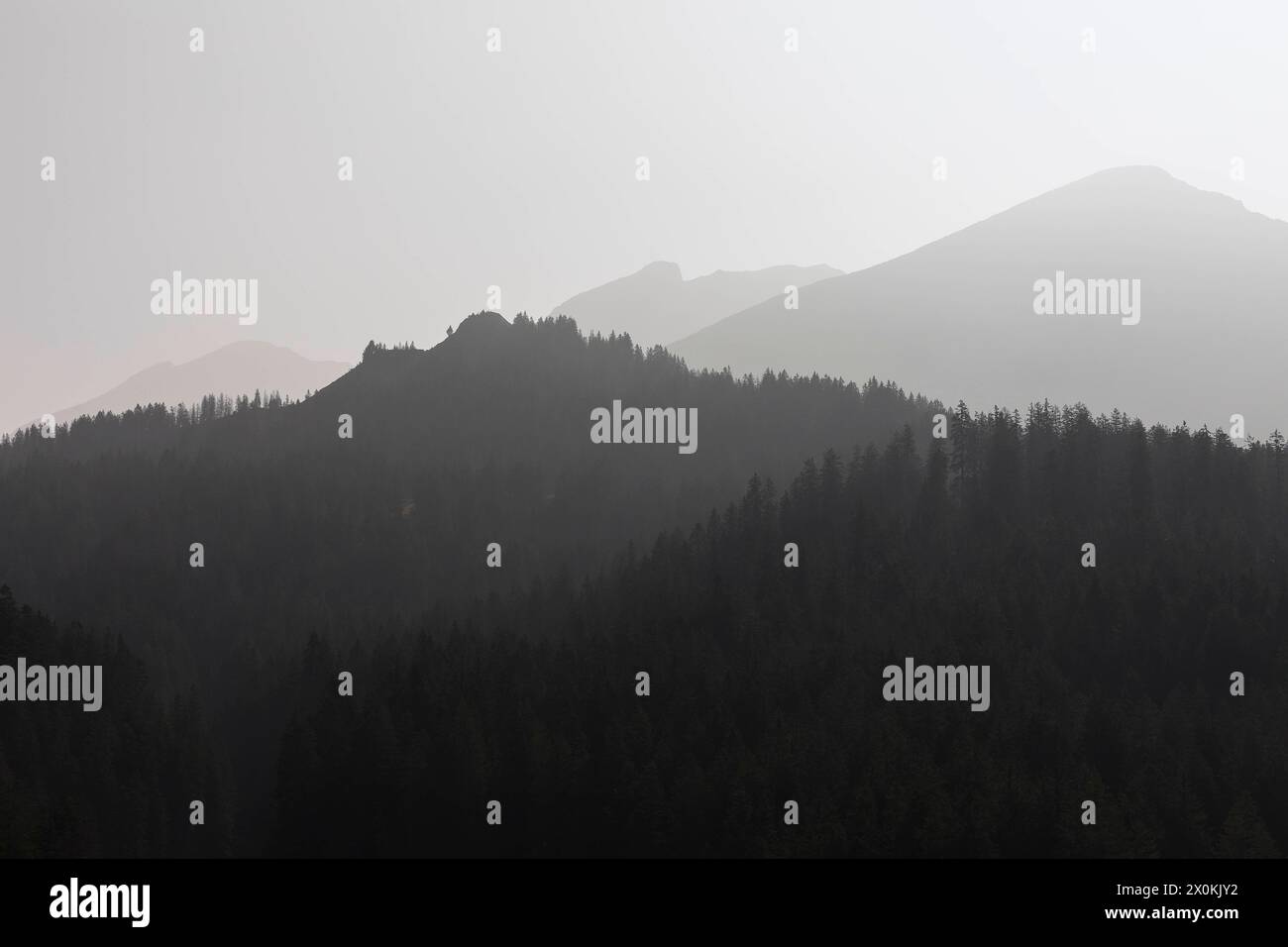 Berge im diesigen Herbstlicht, im Vordergrund der Flügenspitz, Amden, St Gallo, Schweiz *** Montagne in caduta nebbiosa luce, in primo piano il Flüg Foto Stock