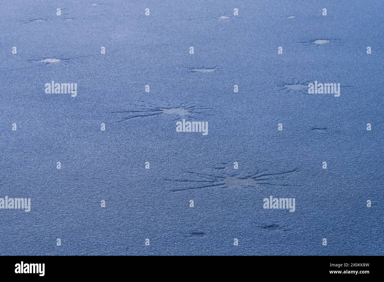 Crepe a forma di stella nel ghiaccio e cristalli di ghiaccio sottili su un lago ghiacciato, in Germania Foto Stock