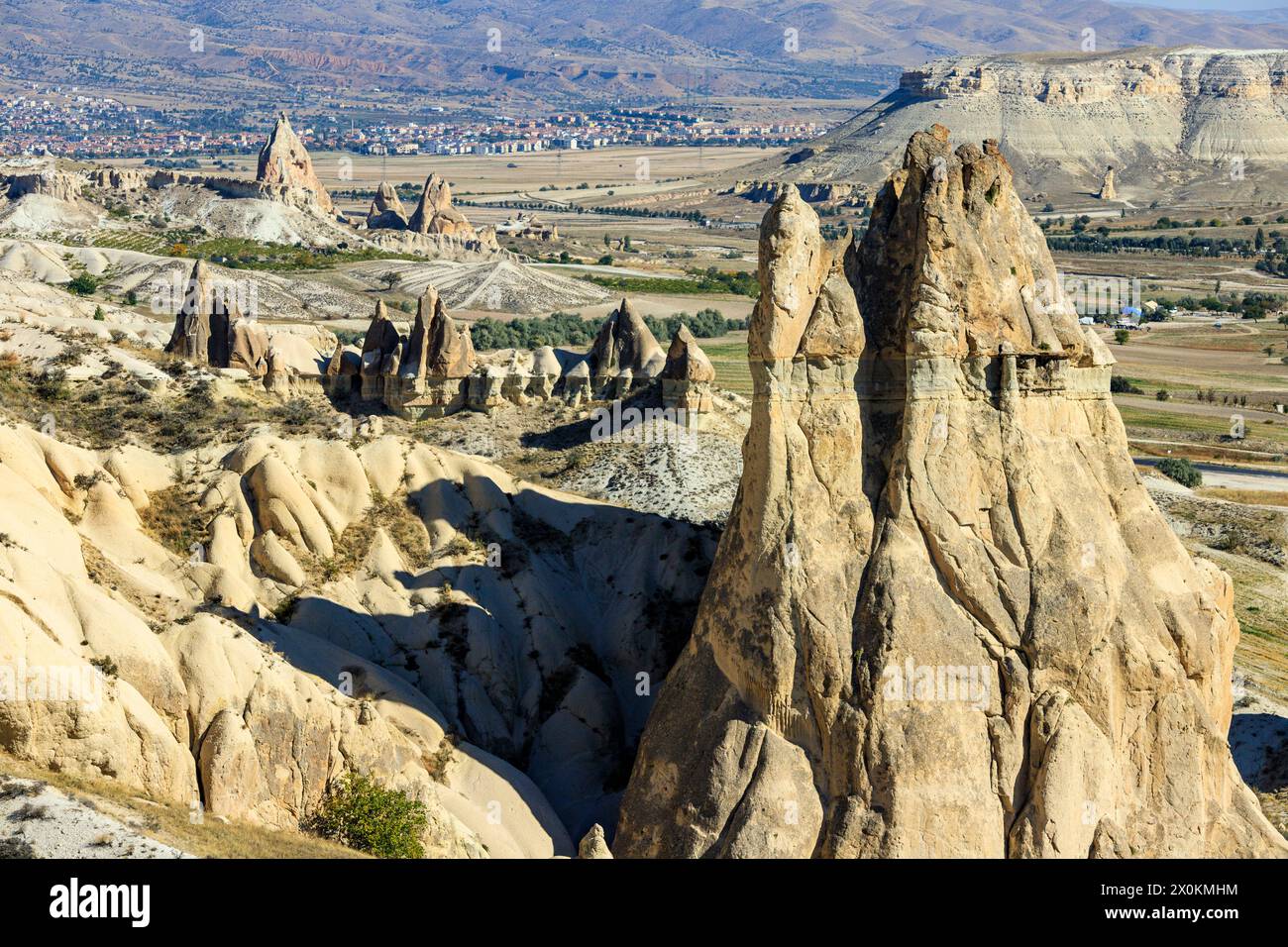Pasabag monaci (valle) in Cappadocia, Turchia Foto Stock