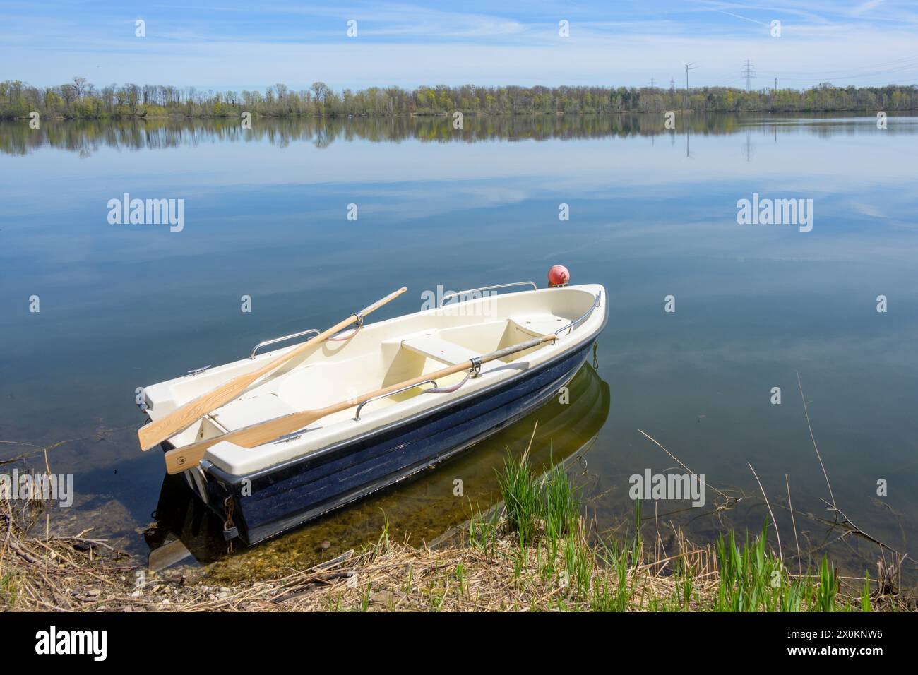 Germania, Baden-Württemberg, Karlsruhe, barca a remi a Knielinger SEE. Foto Stock