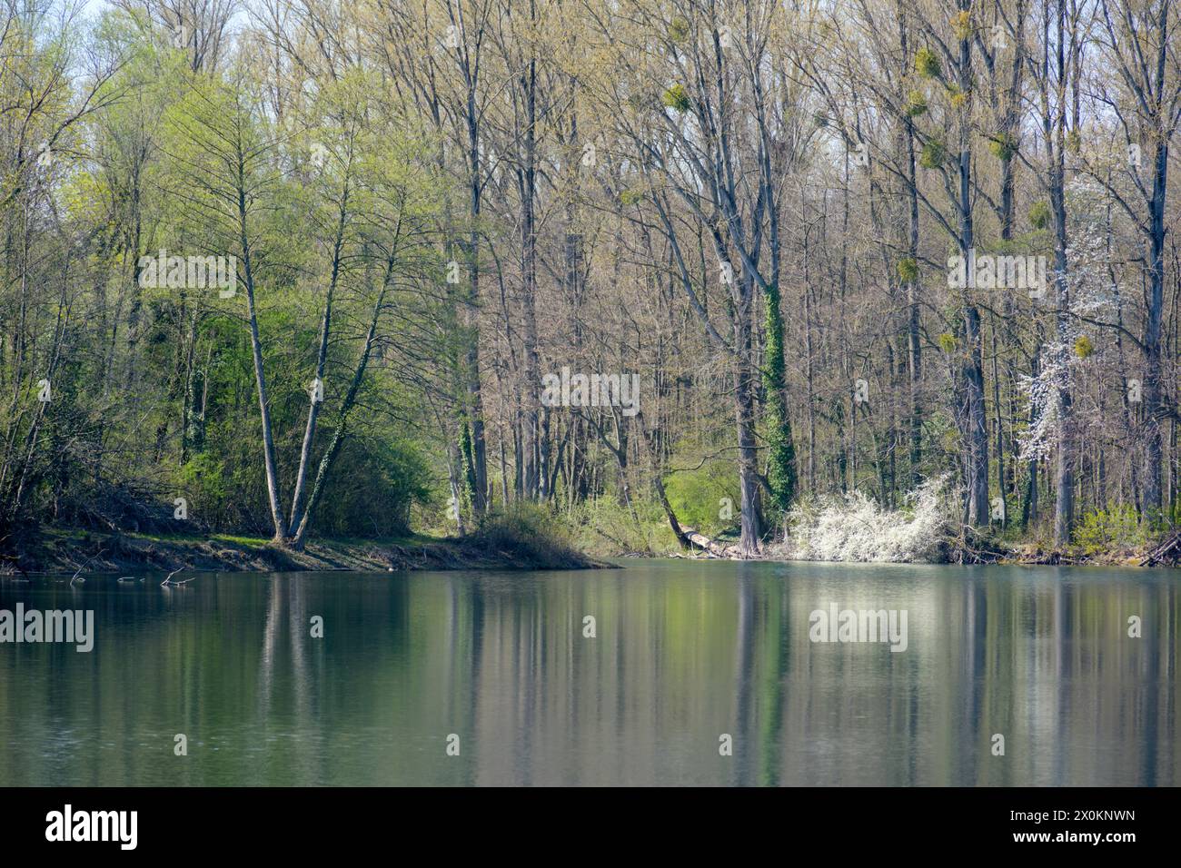Deutschland, Baden-Württemberg, Karlsruhe, lo stagno delle cave di Grötzingen. Foto Stock