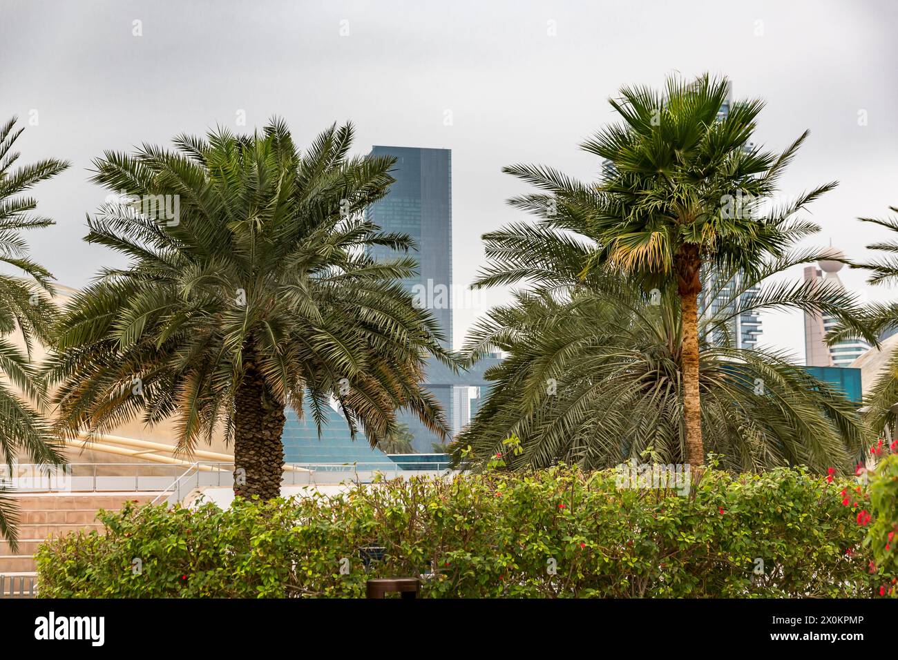 Park at the Frame, Frame with a view, Dubai, Emirati Arabi Uniti, Medio Oriente, Asia Foto Stock