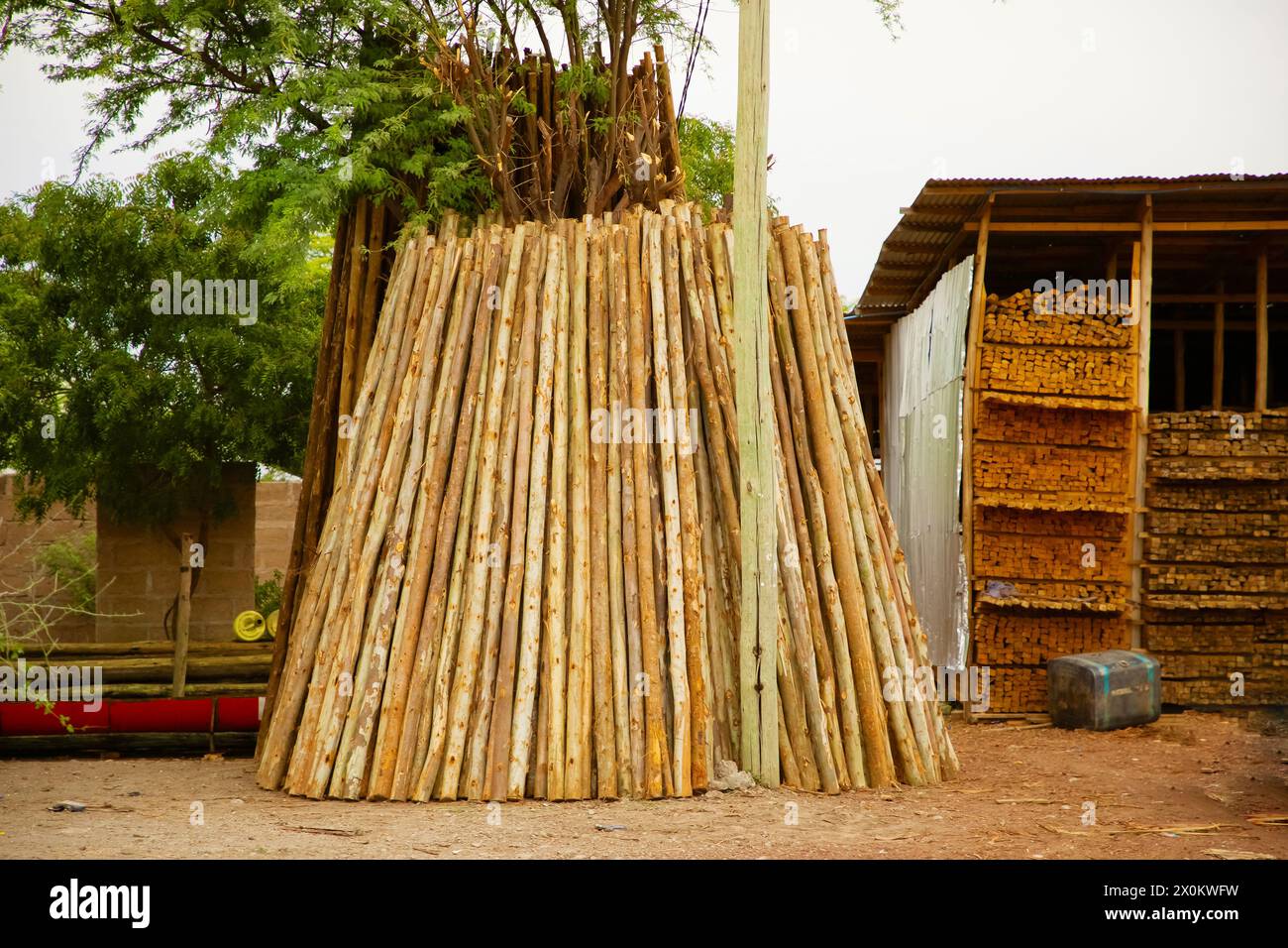 trave rotonda, parete in legno, vecchio grunge. Le tavole lunghe per la costruzione di case in Africa sono pronte per la vendita in Tanzania Foto Stock