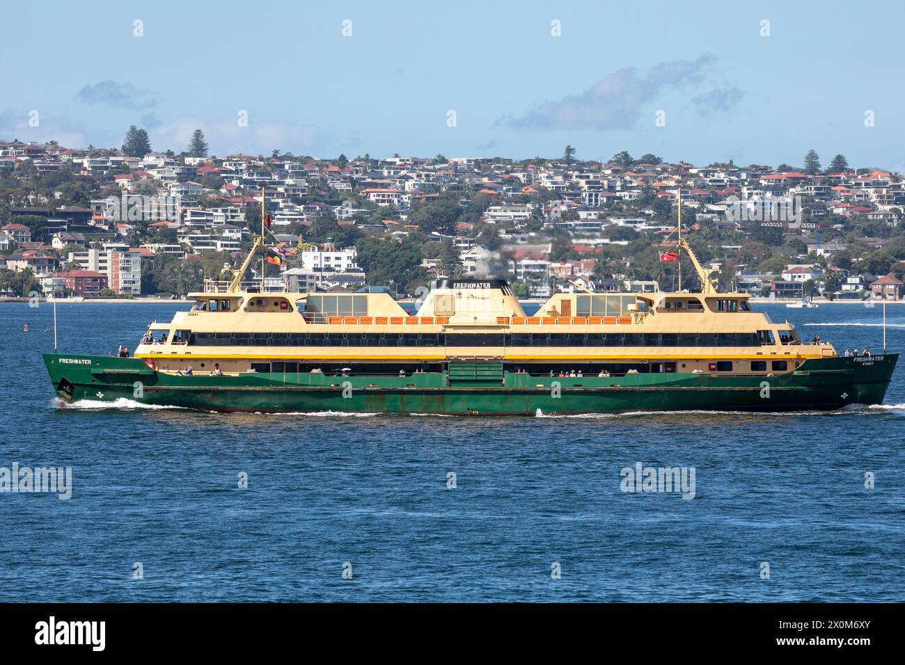 Il traghetto di Manly, il traghetto MV Freshwater sulla rotta per il molo dei traghetti di Manly con le case e le case dei sobborghi orientali in lontananza, il porto di Sydney, NSW Foto Stock