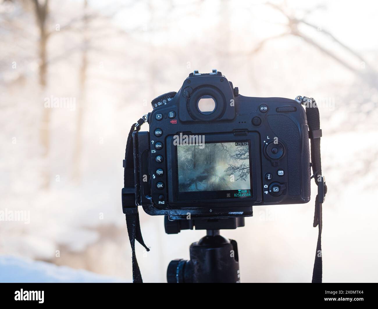 Una fotocamera è montata in modo sicuro su un cavalletto, pronta a catturare immagini stabili e chiare. Il treppiede assicura stabilità e precisione durante le riprese fotografiche Foto Stock