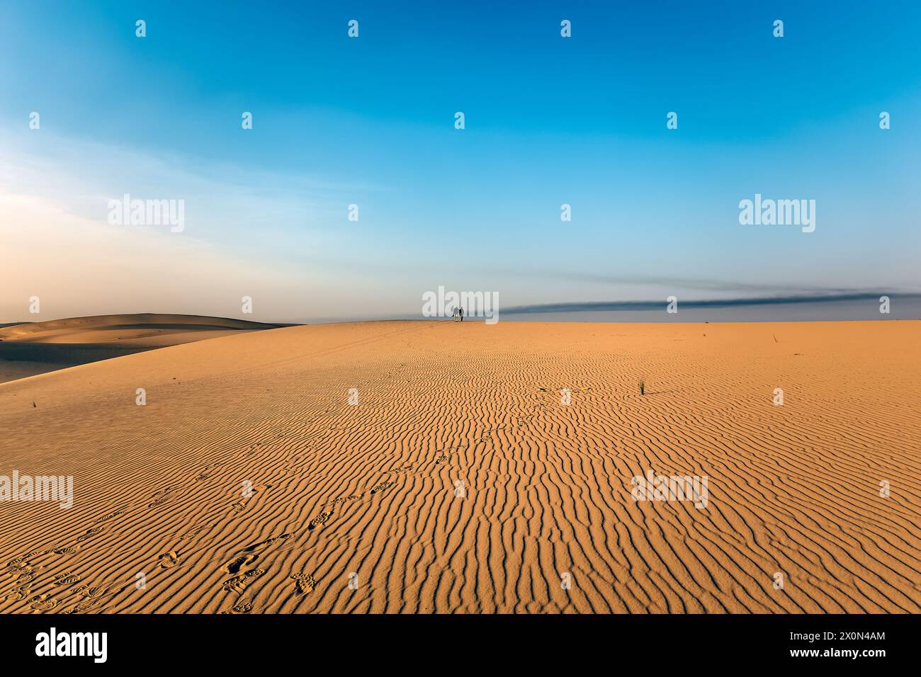 Goditi la splendida vista dell'alba nel deserto di Dammam, Arabia Saudita. Foto Stock