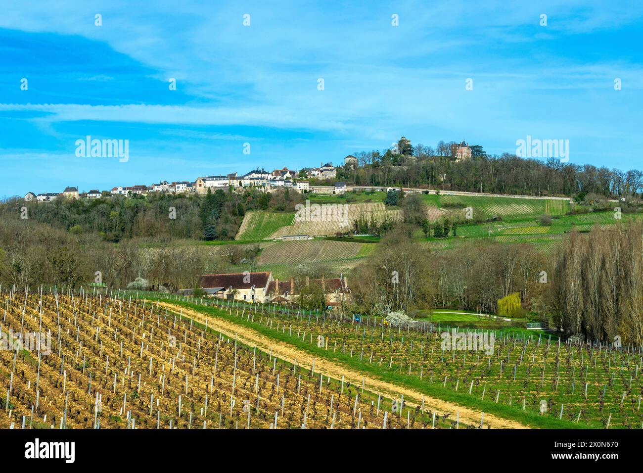 Sancerre etichettato Les Plus Beaux Villages de France. Vista del villaggio e dei suoi vigneti. Dipartimento Cher. Centro-Val de Loire. Francia. Europa Foto Stock