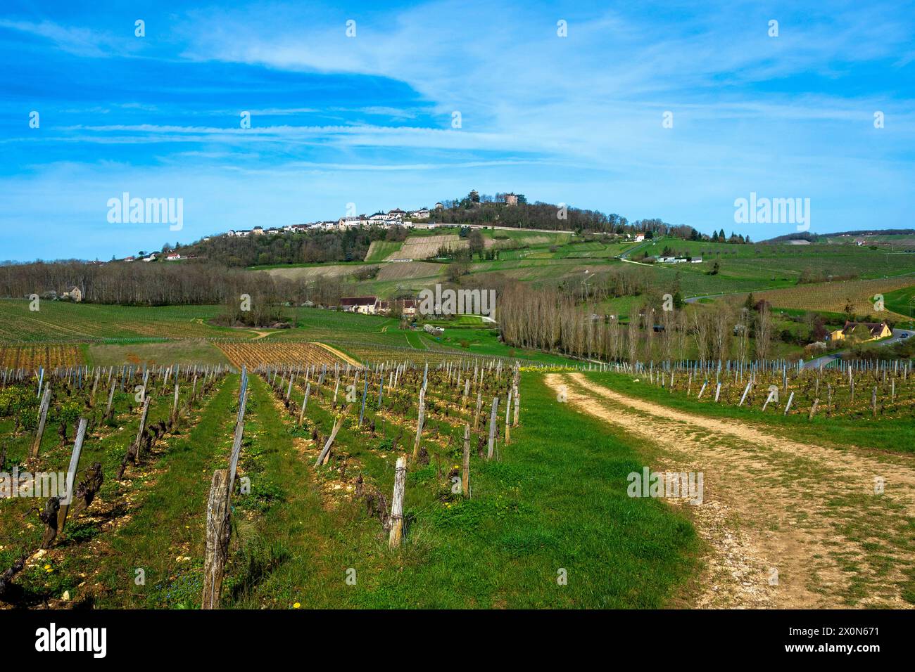 Sancerre etichettato Les Plus Beaux Villages de France. Vista del villaggio e dei suoi vigneti. Dipartimento Cher. Centro-Val de Loire. Francia. Europa Foto Stock