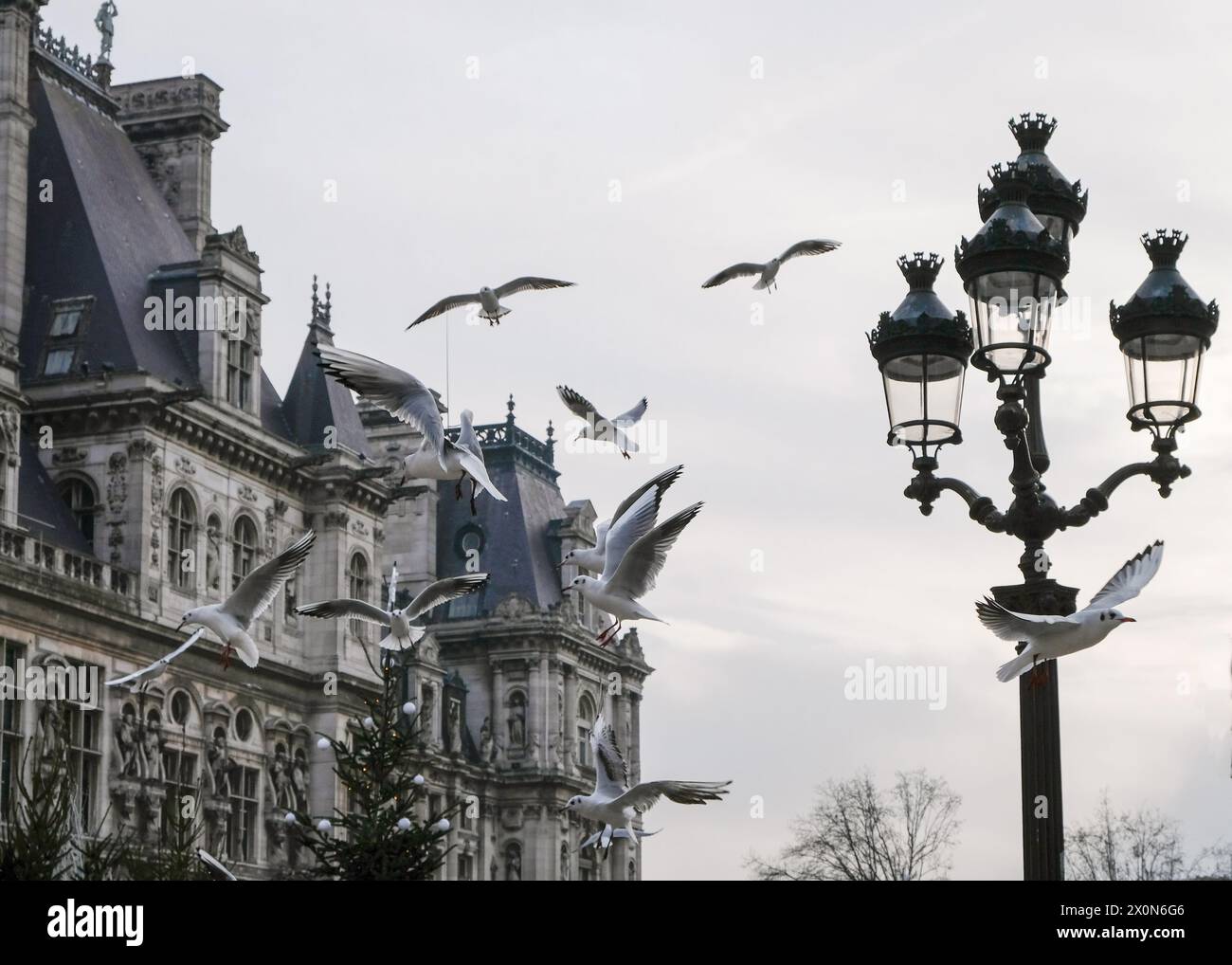 Hôtel de Ville de Paris con i gabbiani che volano e il vecchio lampione parigino Foto Stock