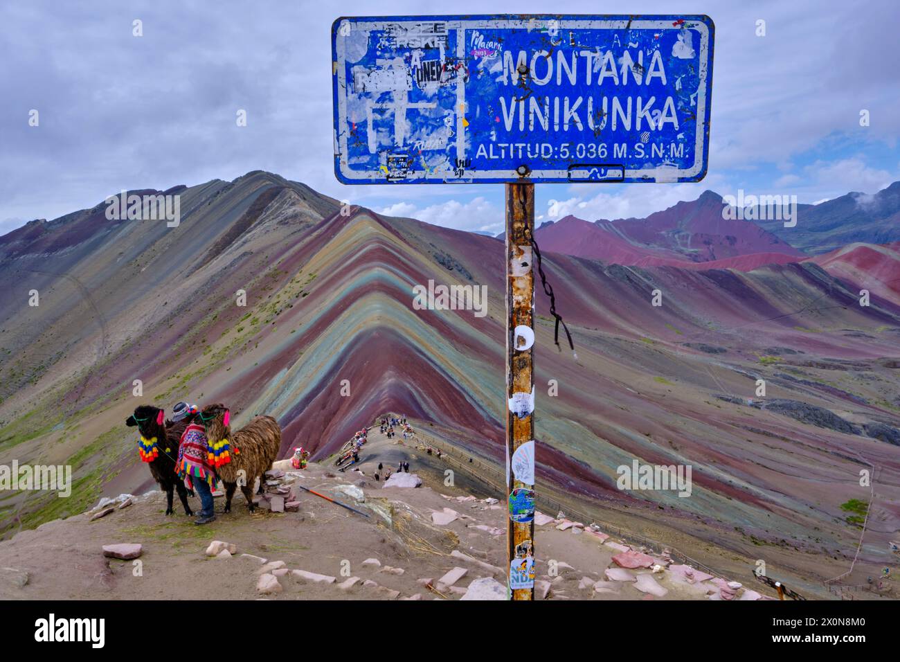 Perù, provincia di Cuzco, Vinicunca, Montana de siete Colores o Rainbow Mountain, lama per turisti Foto Stock