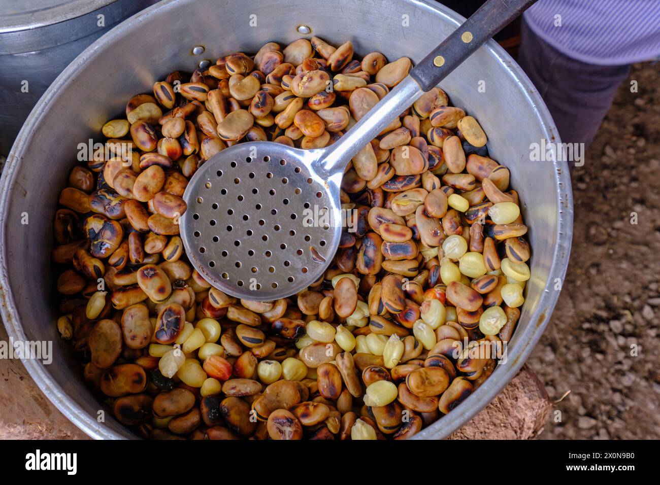 Perù, provincia di Cuzco, villaggio di anta, ristorante locale, piatto di mais Foto Stock