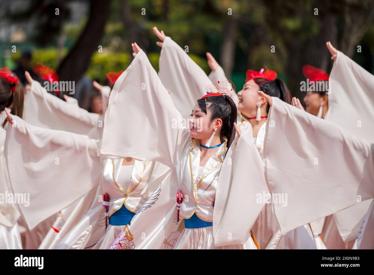Kyoto, Giappone - marzo 31 2024: Festival Kyoto Sakura Yosakoi ( Sakuyosa ). Ballerini che ballano lungo una strada nell'area di Okazaki intorno al Santuario Heian. Foto Stock